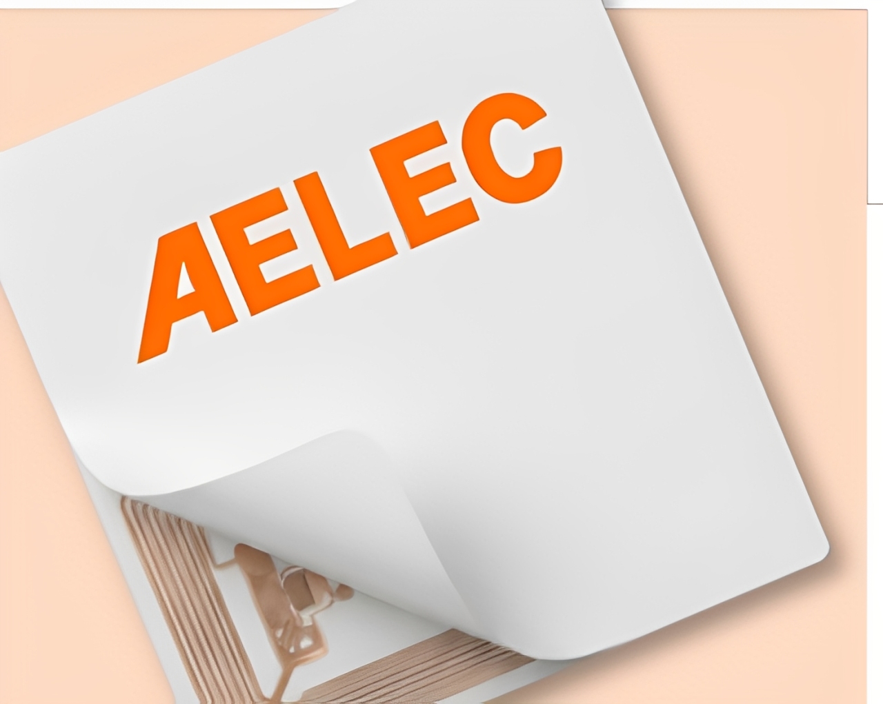 Photo fournie par AELEC, Étiquettes RFID pour livres, vue 1 sur 4